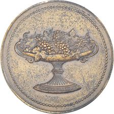 France, Medal, Vignes, Raisin, Agriculture, EF(40-45), Bronze