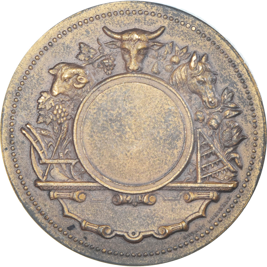 France, Medal, Vignes, Raisin, Agriculture, EF(40-45), Bronze
