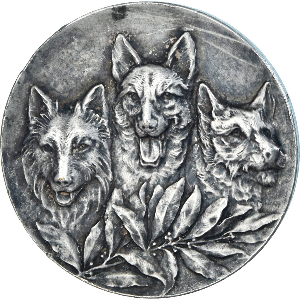 France, Medal, Chiens, Concours Canin, Huguenin, AU(50-53), Silvered bronze