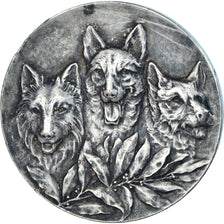 France, Medal, Chiens, Concours Canin, Huguenin, AU(50-53), Silvered bronze