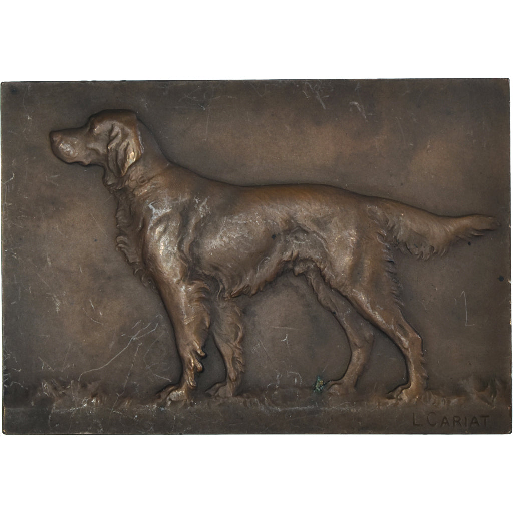 France, Medal, Chien, Setter, Cariat, AU(50-53), Bronze
