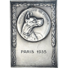 France, Médaille, Chiens, Doggen Club de France, 1935, SUP, Bronze argenté