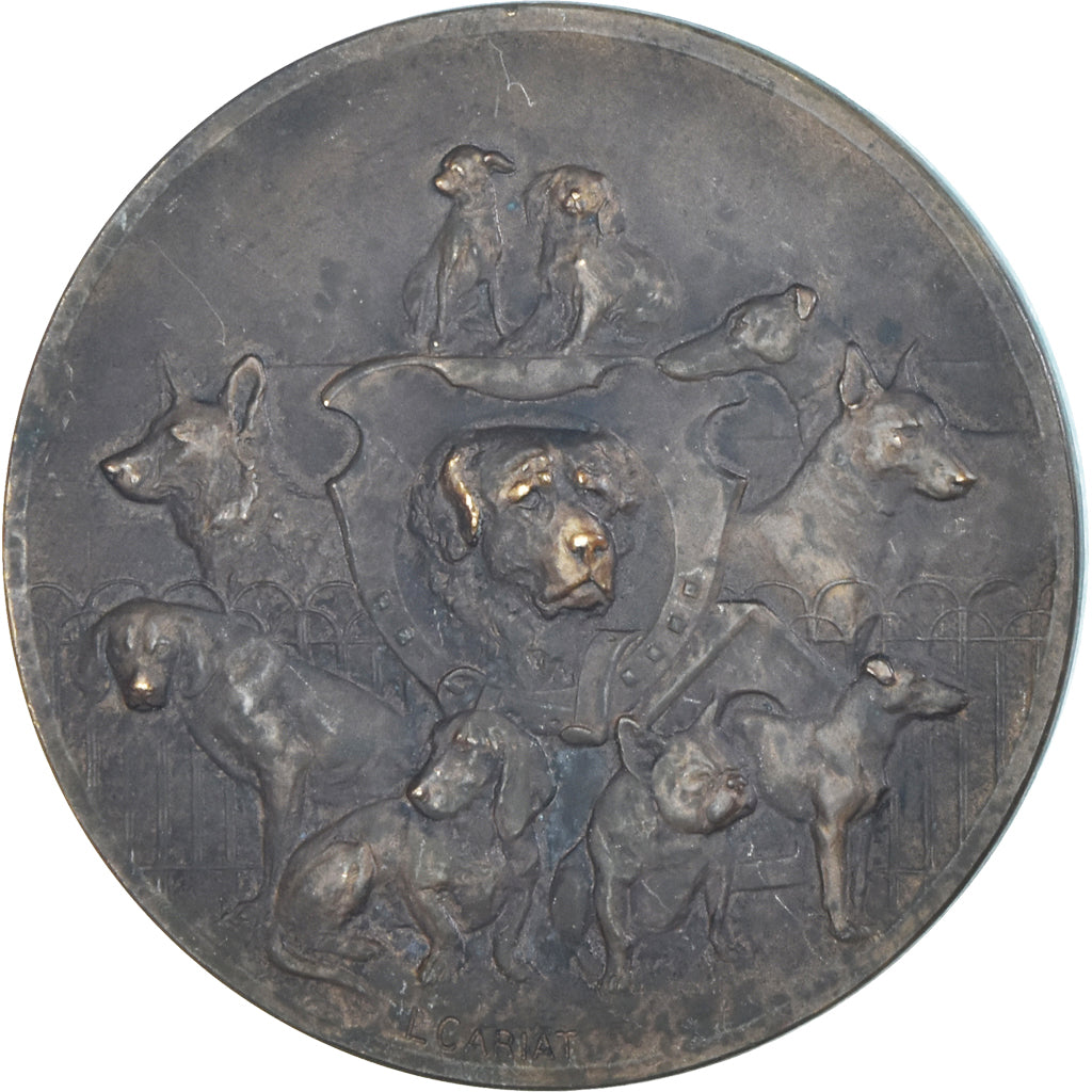 France, Medal, Société Canine Maine-Anjou-Touraine, Chiens, Cariat, AU(50-53)