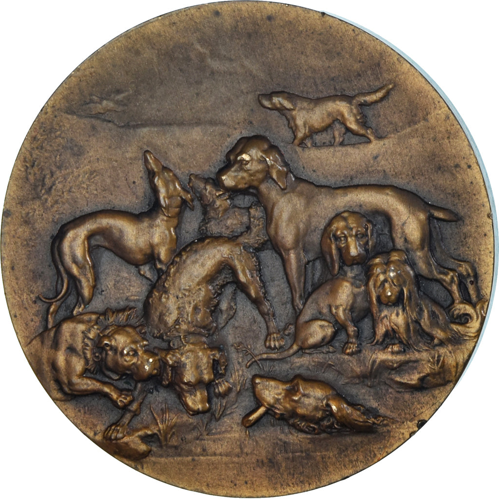 France, Médaille, Société Canine d'Artois, Arras, TTB+, Bronze