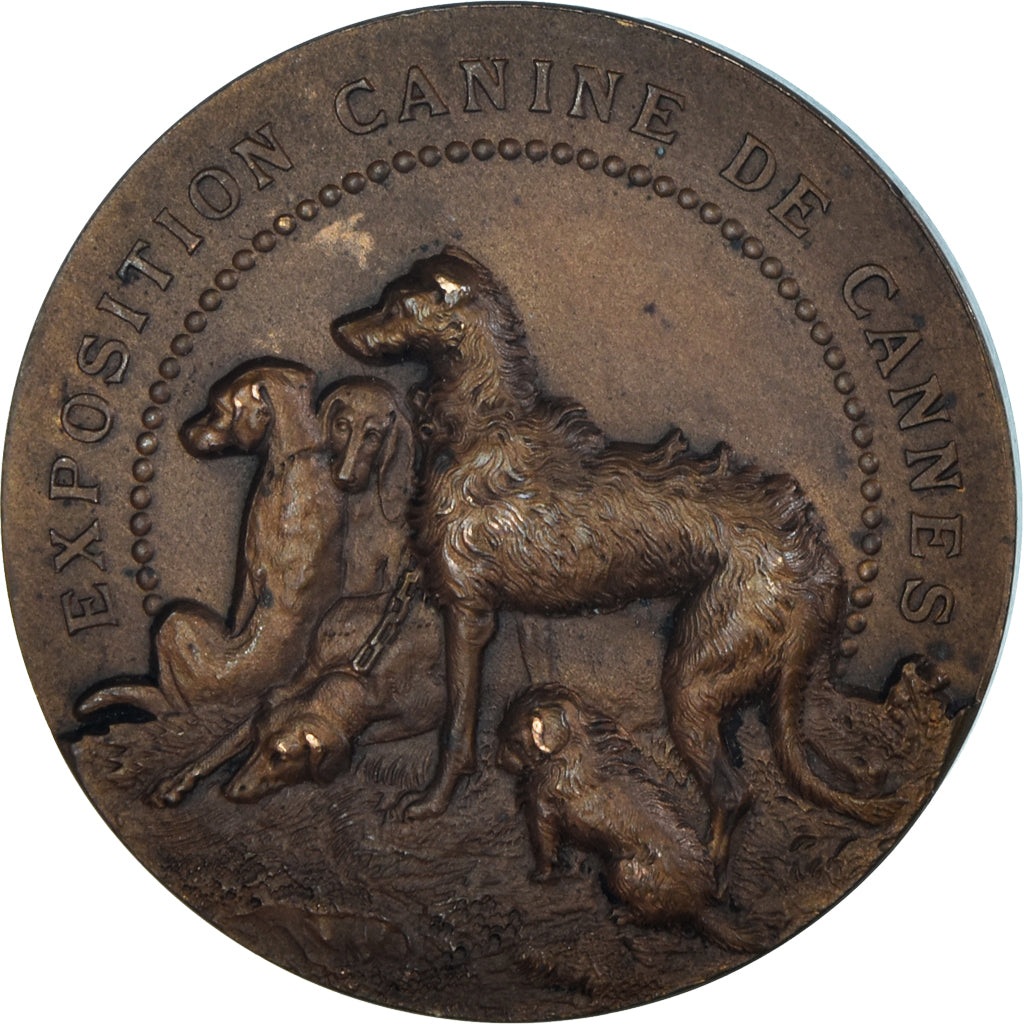 France, Médaille, Exposition Canine de Cannes, Chiens, SUP, Bronze