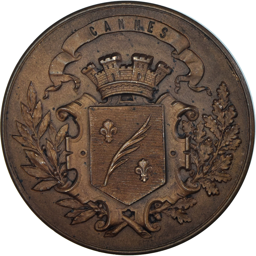 France, Médaille, Exposition Canine de Cannes, Chiens, SUP, Bronze