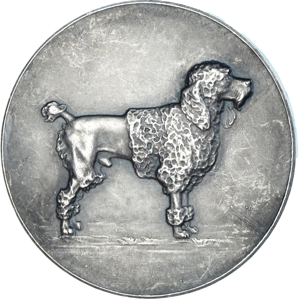 France, Medal, Chien, Exposition Canine, AU(50-53), Silver
