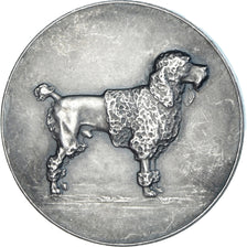 France, Medal, Chien, Exposition Canine, AU(50-53), Silver