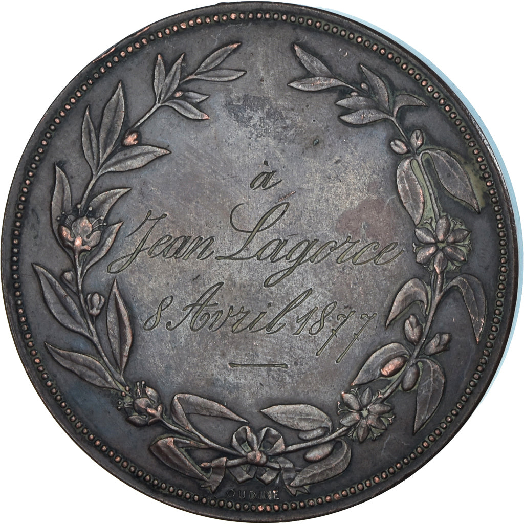 France, Medal, Abus des Boissons Alcooliques, Société de Tempérance, 1877
