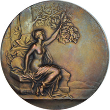 France, Medal, Art Nouveau, Femme nue, Pillet, MS(63), Bronze