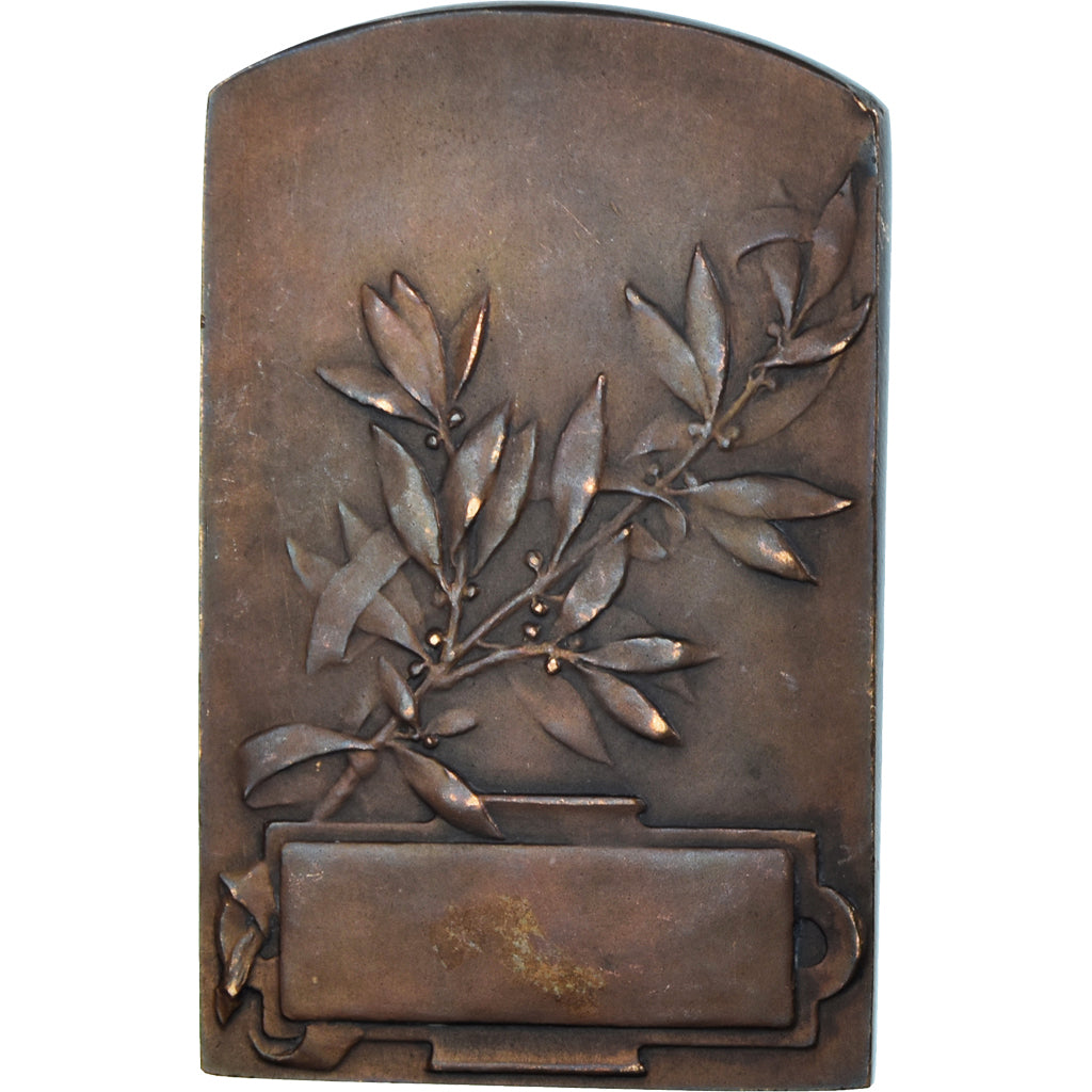 França, medalha, Art Nouveau, Femme à la Couronne de Laurier, AU(50-53)