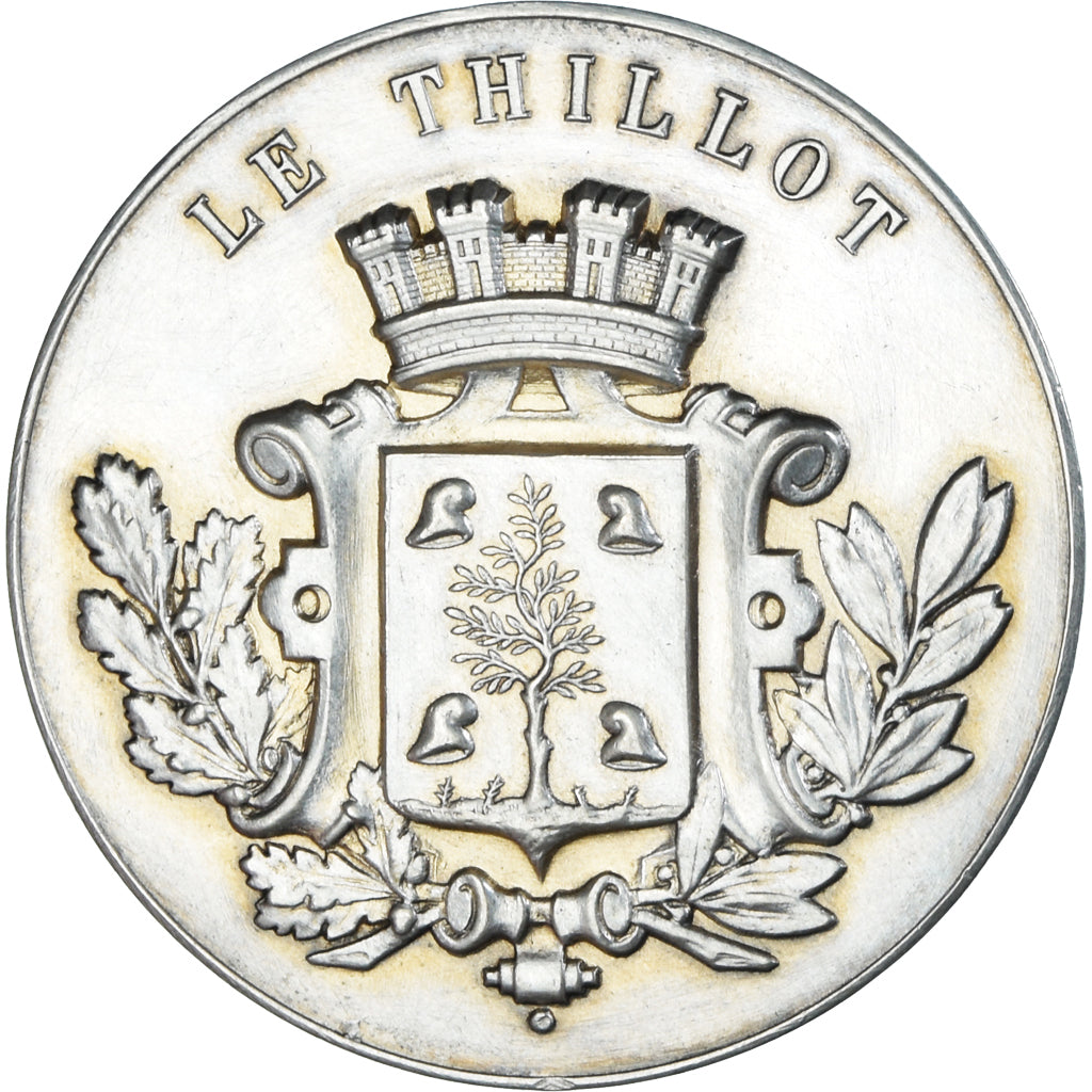 Frankreich, Medaille, Le Thillot, La Municipalité Reconnaissante, Vosges