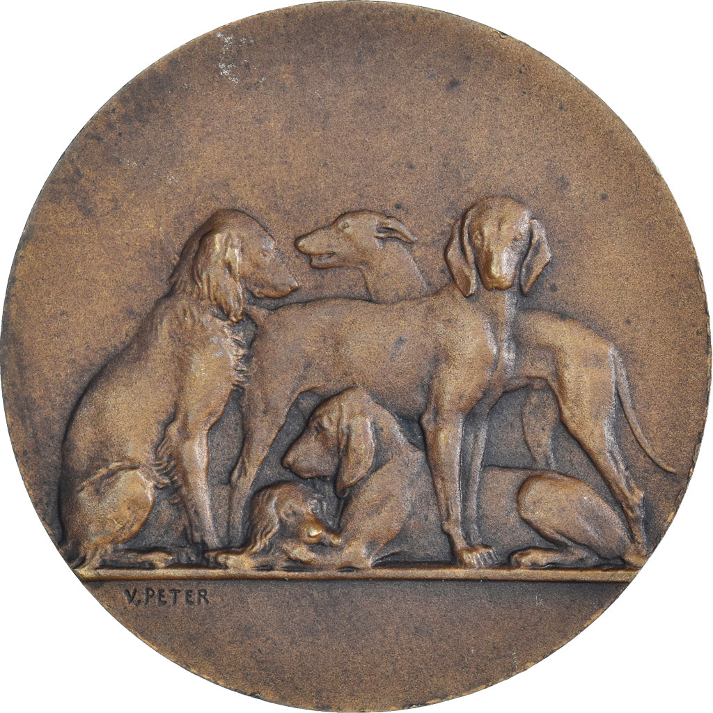 Francia, medalla, Ville de Aumale, Concours canin, 1931, V. Peter, MBC+, Bronce