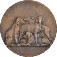 Francia, medalla, Ville de Aumale, Concours canin, 1931, V. Peter, MBC+, Bronce