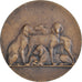 Francia, medalla, Ville de Aumale, Concours canin, 1931, V. Peter, MBC+, Bronce