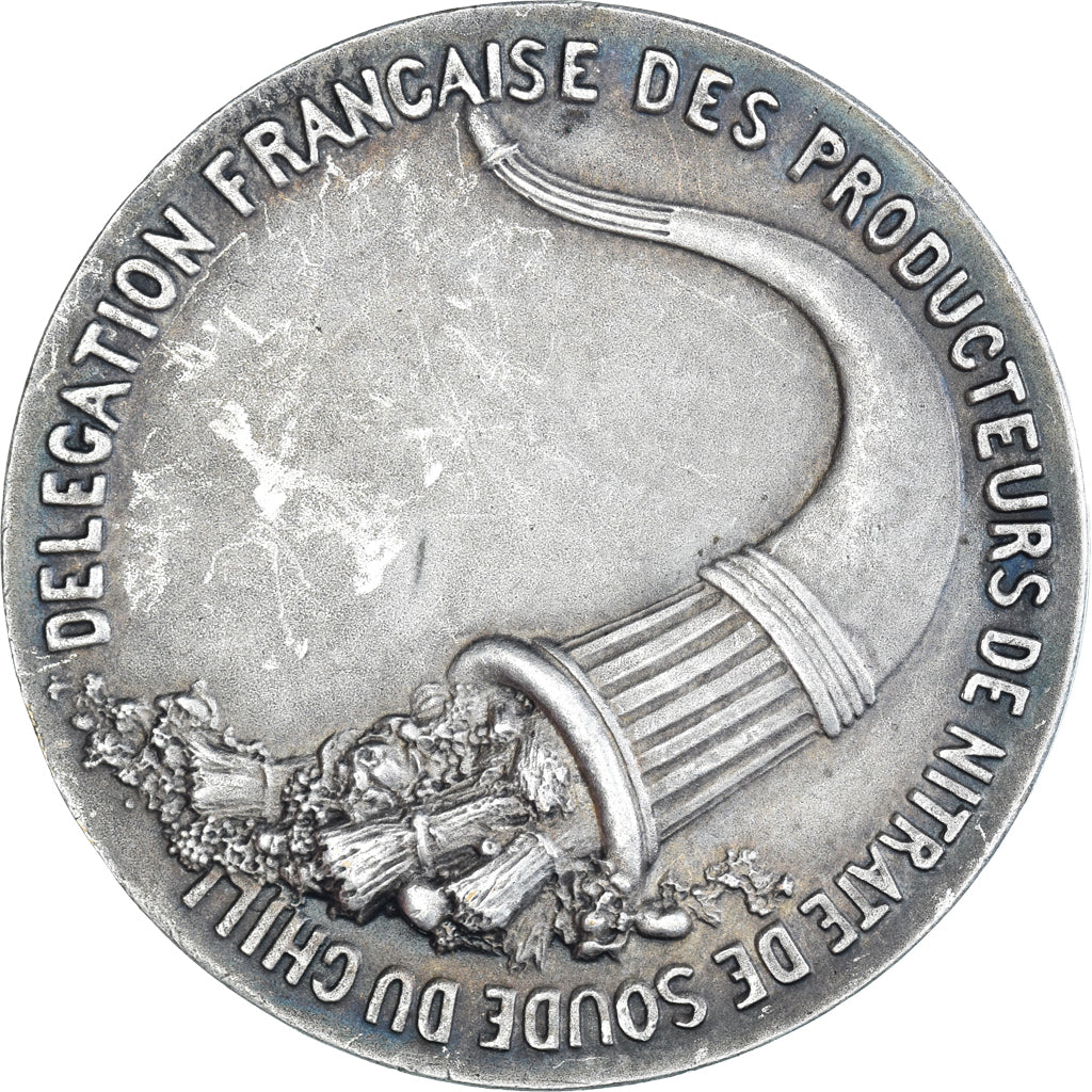 France, Medal, Délégation Française des Producteurs de Nitrate de Soude du
