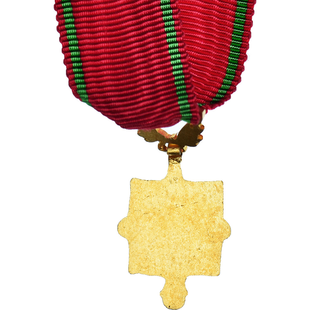France, Courage, Dévouement, Mérite, Arts, Lettres, Sciences, Sport, Medal