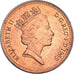 Moneta, Wielka Brytania, Elizabeth II, Penny, 1989, AU(55-58), Brązowy, KM:935