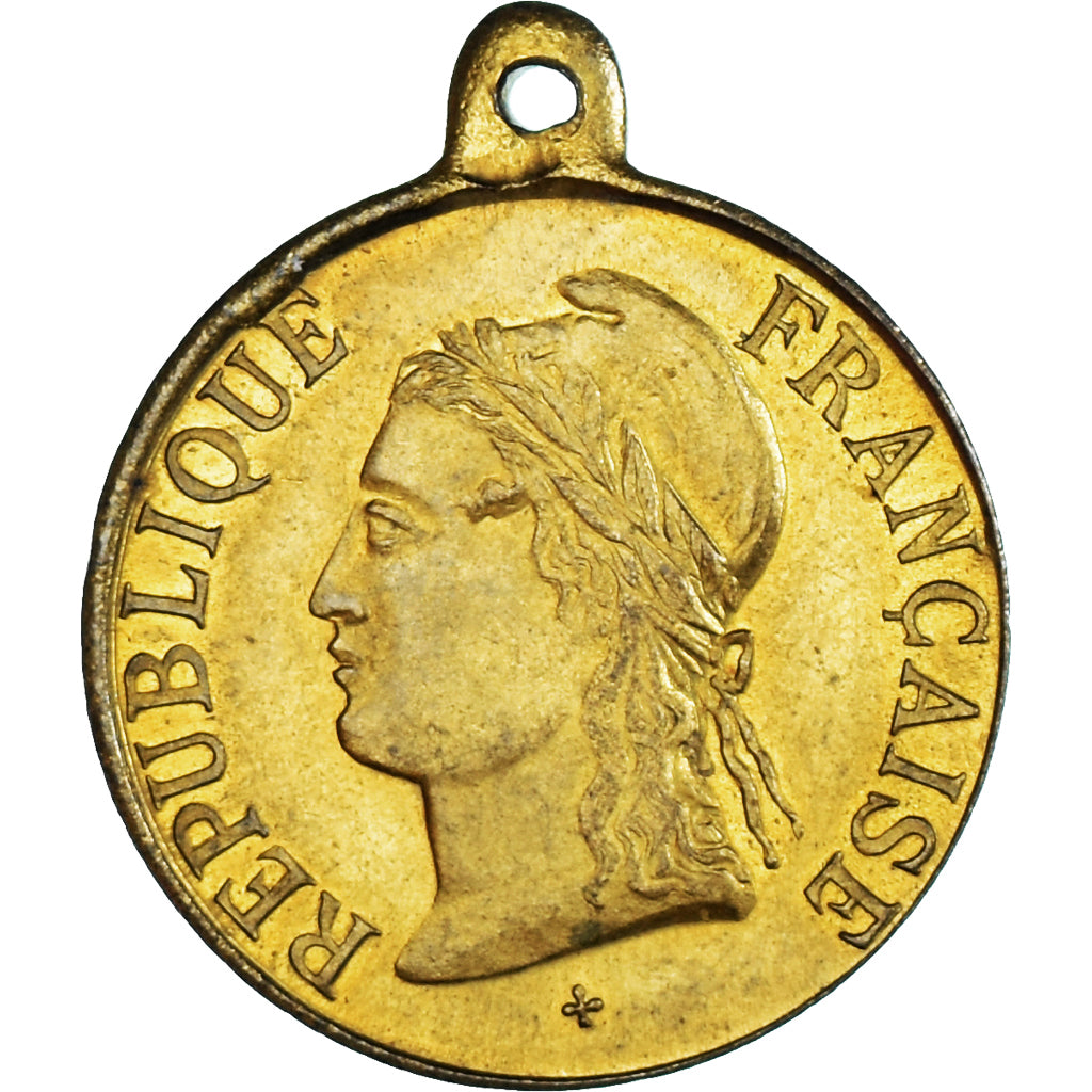 France, Medal, Fête Nationale et Patriotique, Society, 1882, AU(55-58), Brass