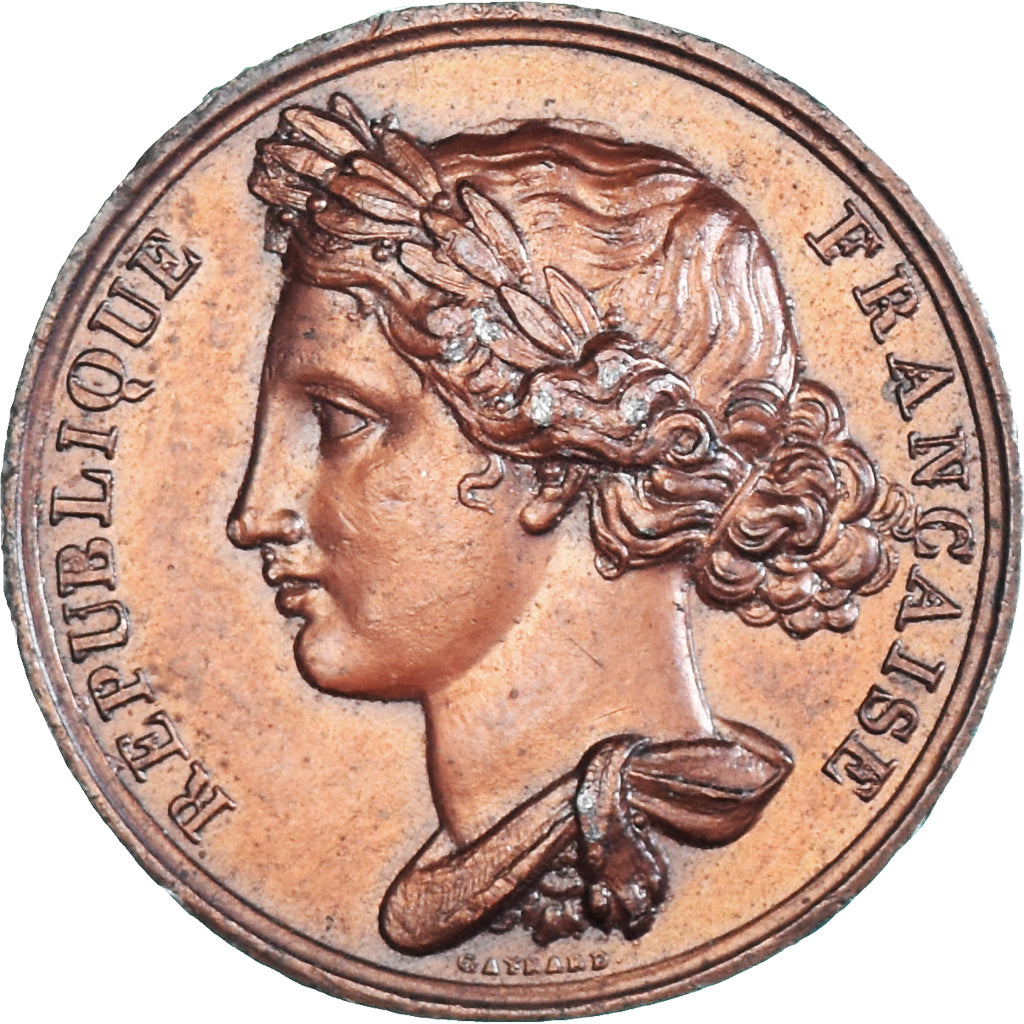 France, Medal, Promulgation de la Constitution, Politics, 1848, Gayrard