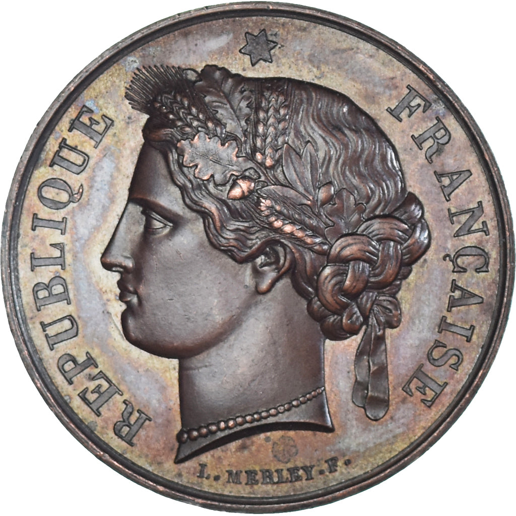 Francia, medaglia, Marianne, République Française, Merley, SPL-, Rame
