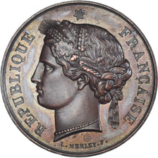 Francia, medaglia, Marianne, République Française, Merley, SPL-, Rame