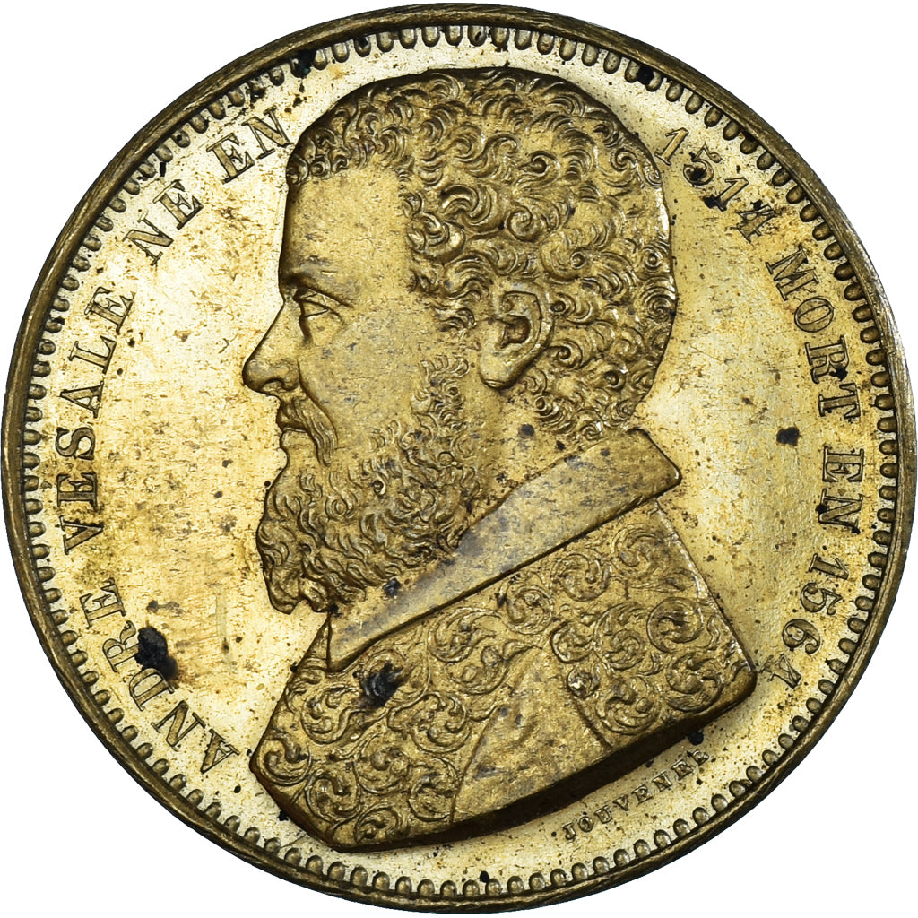 Belgium, Medal, André Vesale, Anatomiste, Medicine, Jouvenel, AU(50-53), Brass