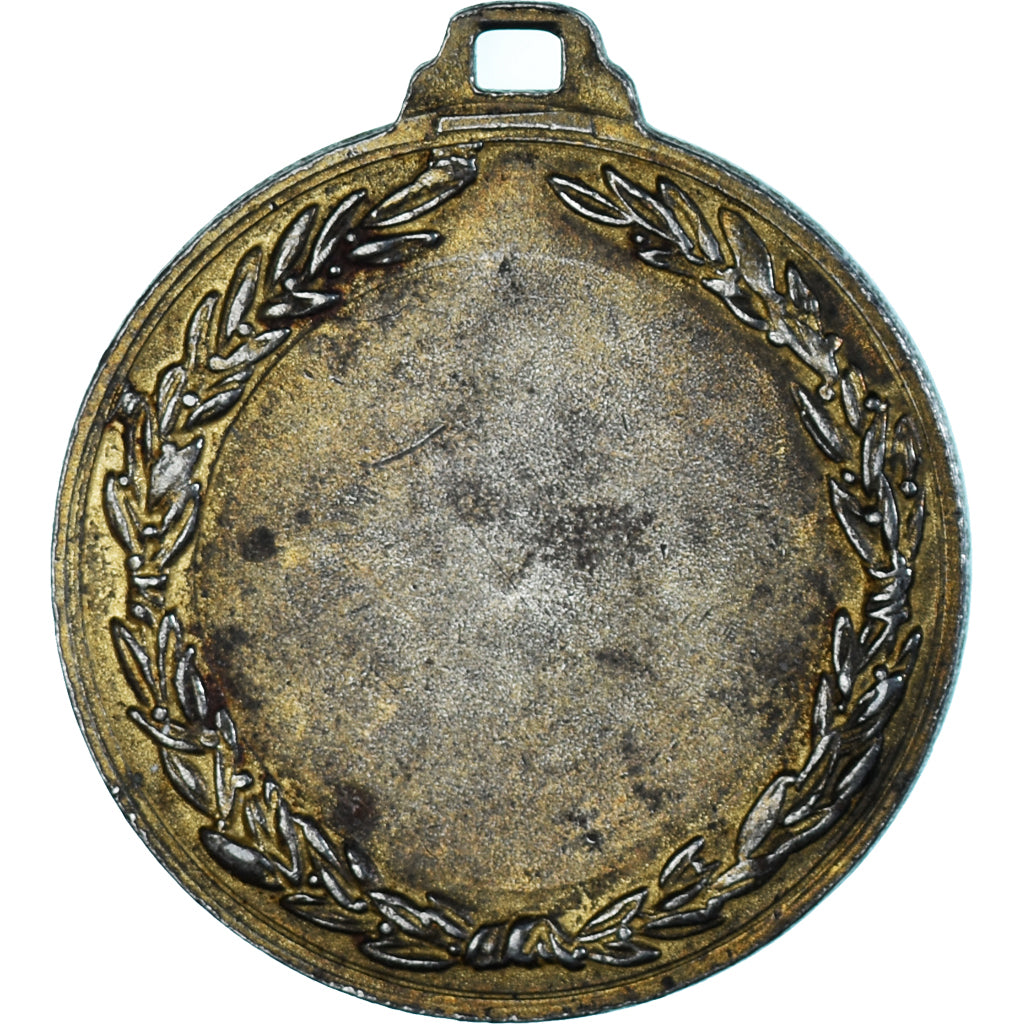 France, Medal, Volleyball, Sports & leisure, AU(50-53), Silvered Metal