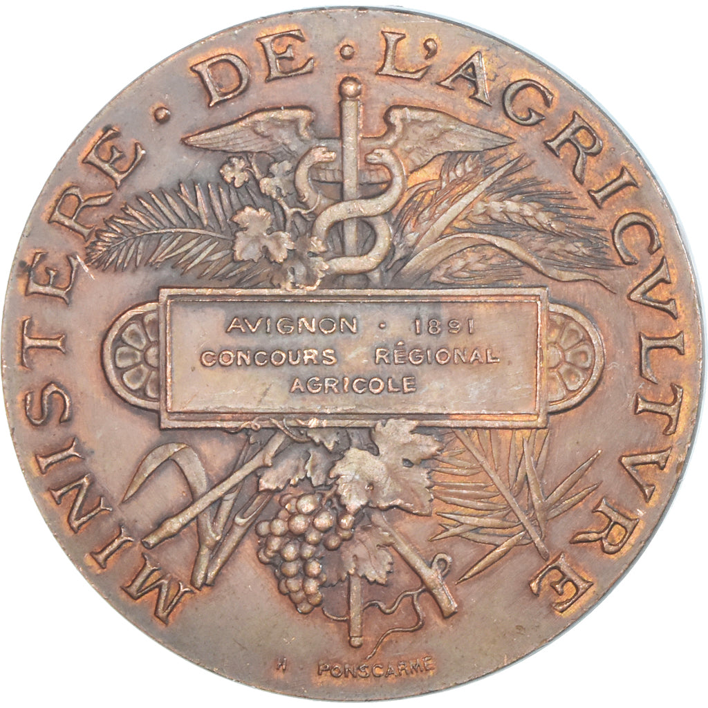 Francja, medal, Concours Régional Agricole, Avignon, 1891, Ponscarme