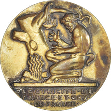 Francja, medal, Électricité de France et gaz de France, Biznes i przemysł