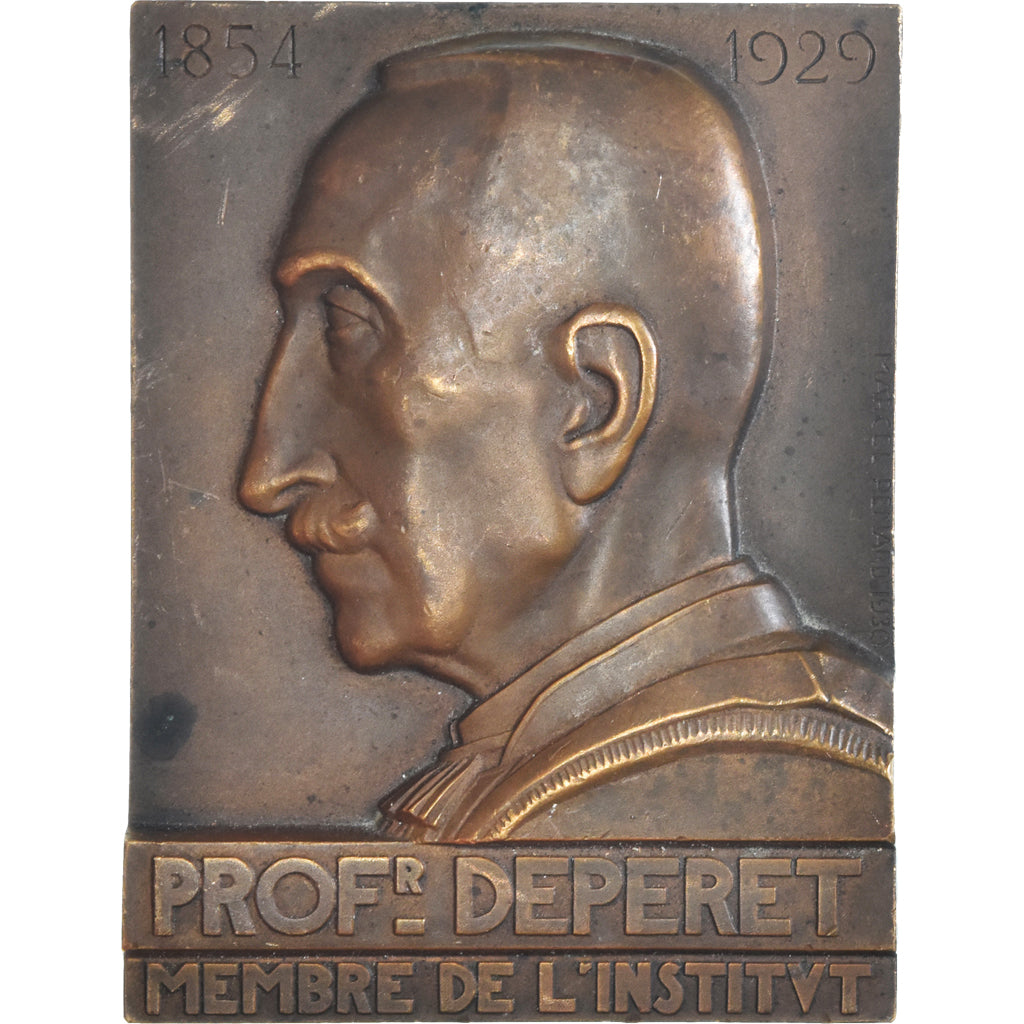 France, Medal, Professeur Depéret, Membre de l'Institut, Sciences &