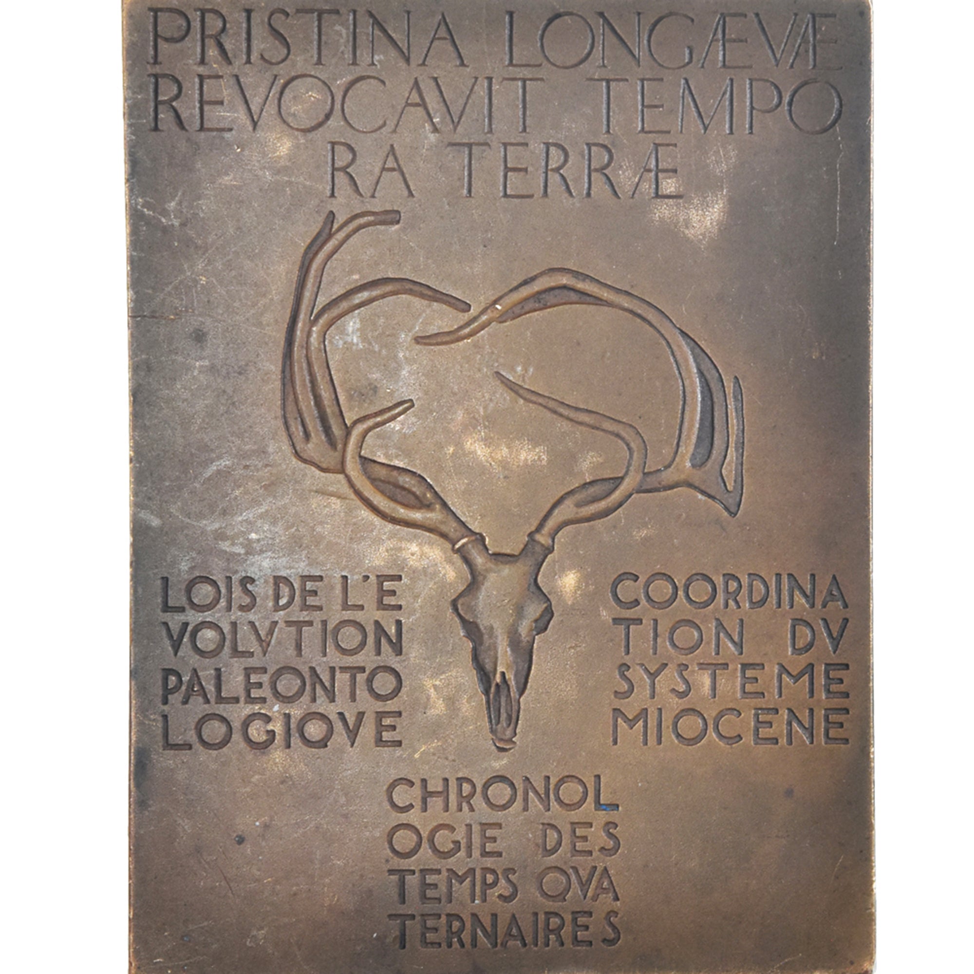 France, Medal, Professeur Depéret, Membre de l'Institut, Sciences &