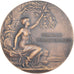 France, Medal, Chocolatiers, Confiserie Demulier, 1964, Pillet, Art nouveau