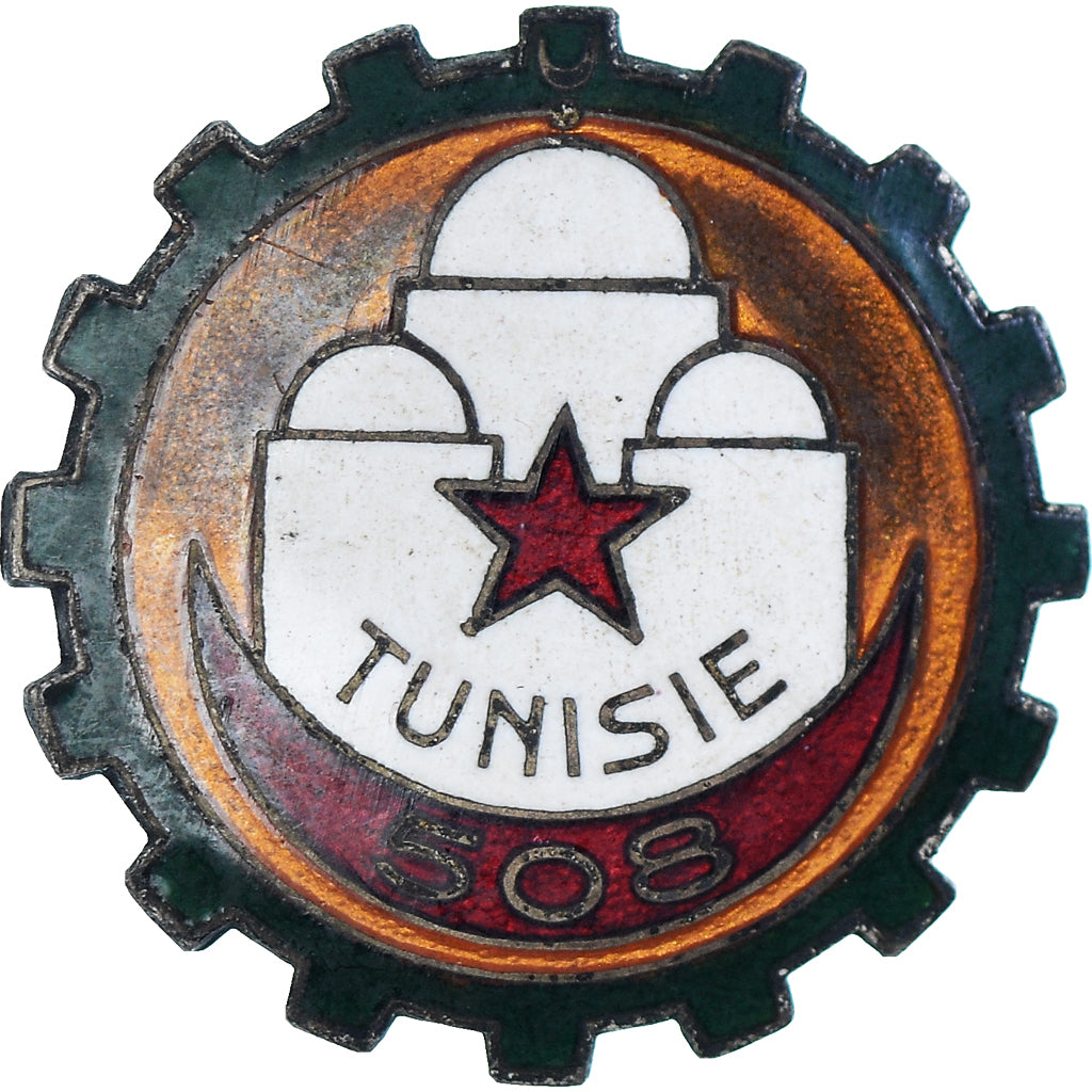 Tunesien, 508ème Groupe de Transport, Military, Broche, Excellent Quality