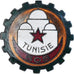 Tunísia, 508ème Groupe de Transport, Military, Broche, Qualidade Excelente