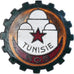 Tunesien, 508ème Groupe de Transport, Military, Broche, Excellent Quality