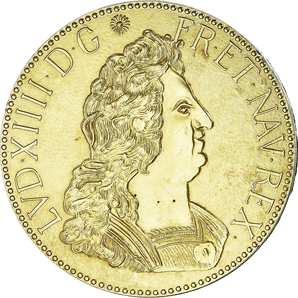 França, medalha, Louis XIV Le Grand, Uniface, AU(55-58), Gilt Metal