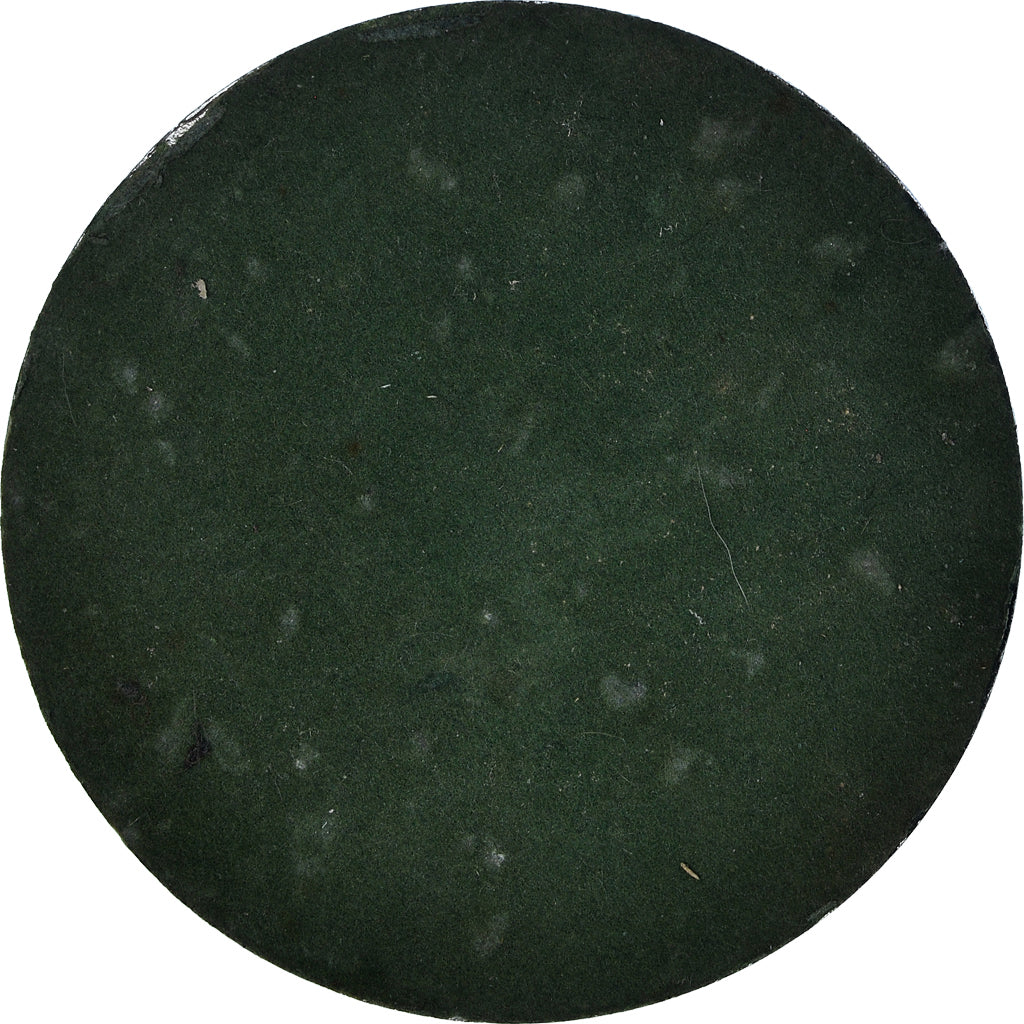 Francja, medal, Reproduction, Florin Karolus d'argent - Charles V, Uniface