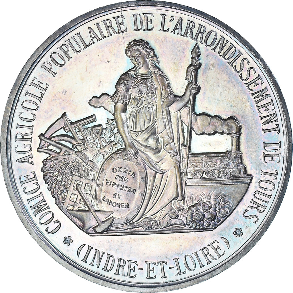 France, Medal, Comice Agricole de Tours, Agriculture, MS(65-70), Silver