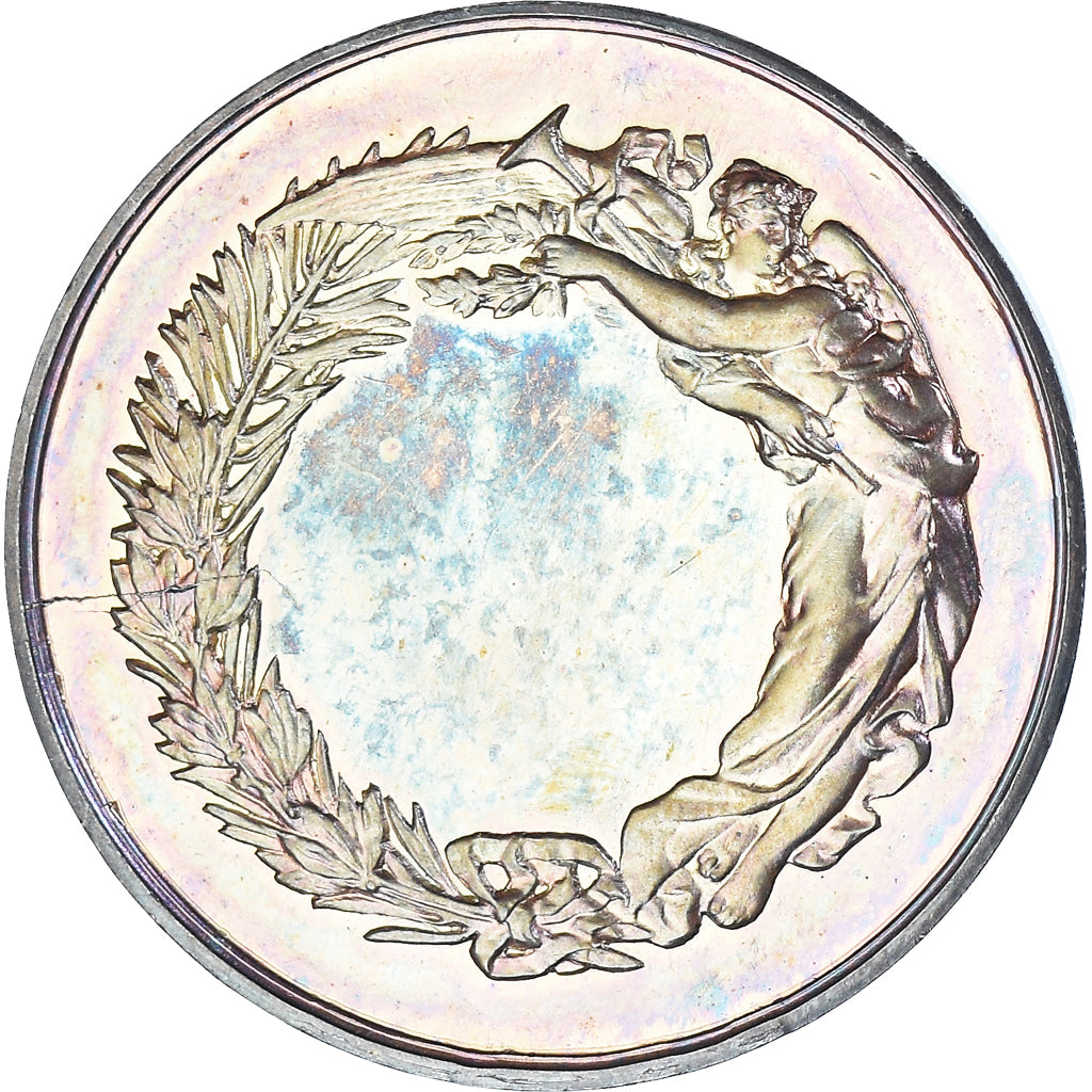 France, Medal, Comice Agricole de Tours, Agriculture, MS(65-70), Silver