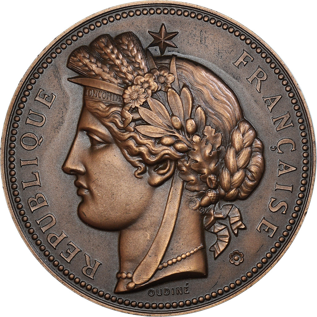 Frankreich, Medaille, Offert par MR. Estève, Sénateur, Politics, 1972