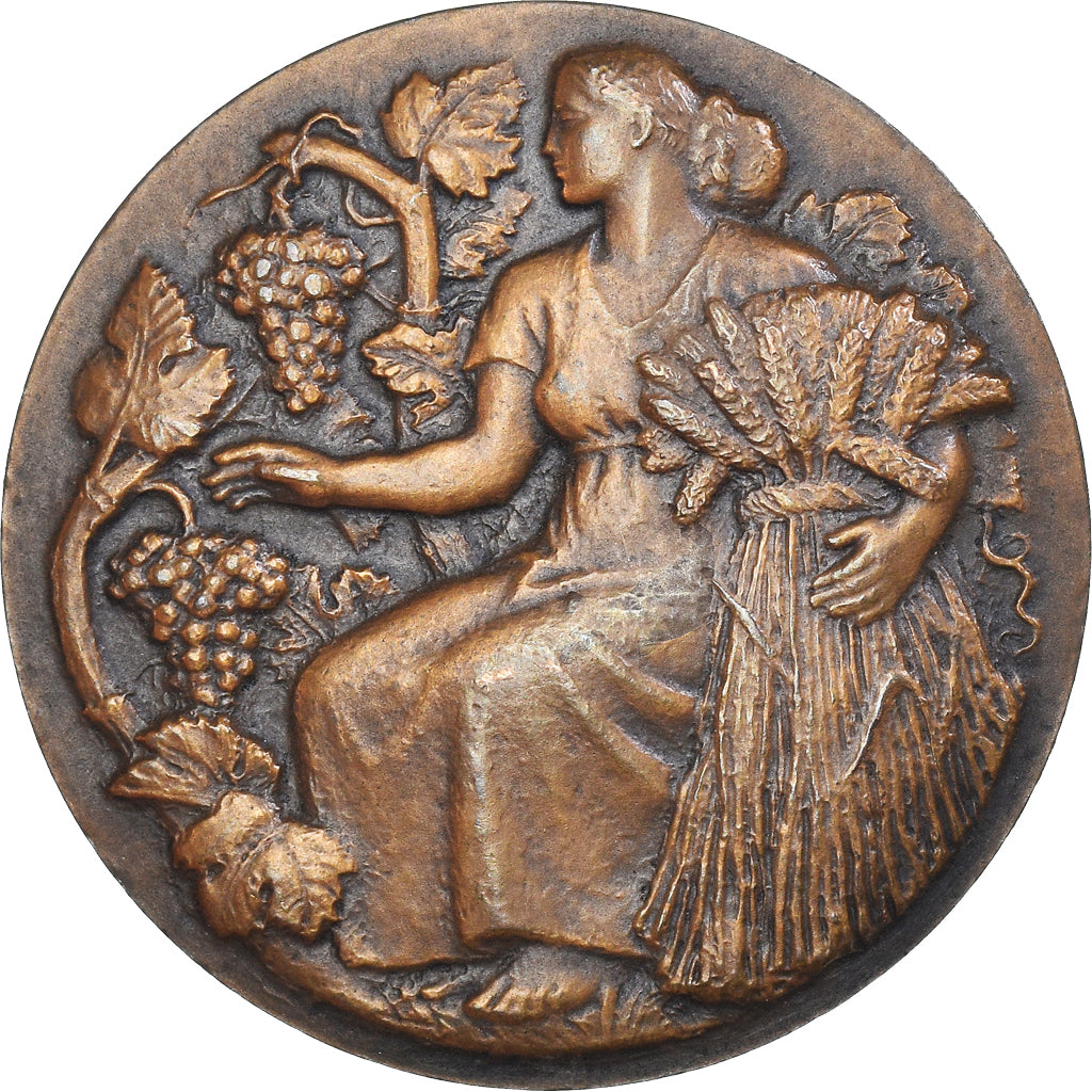 Francia, medaglia, Ministère de l'Agriculture, Associations Agricoles, Petit