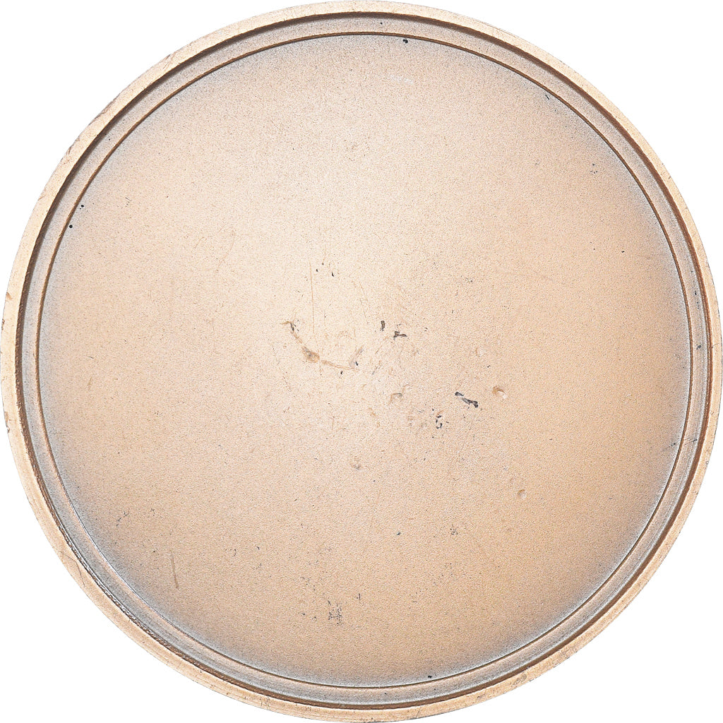 Frankreich, Medaille, Ville de Wattignies, Nord, Geography, 1973, UNZ, Bronze