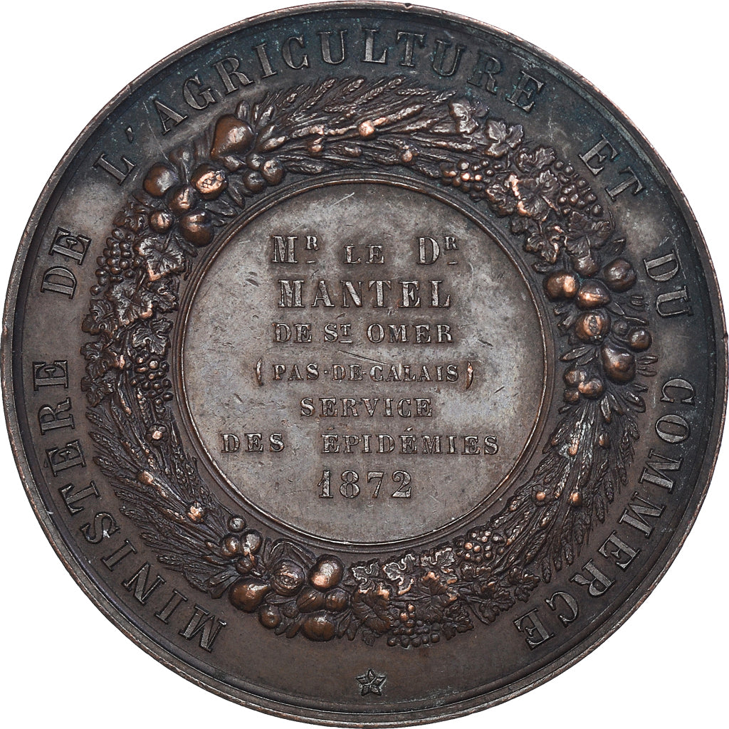 Francia, medalla, Docteur Mantel, Service des Epidemies, Saint-Omer, 1872