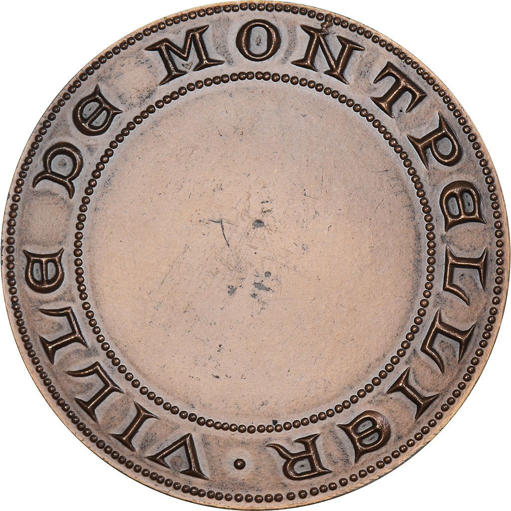 Frankreich, Medaille, Ville de Montpellier, Geography, 1976, UNZ+, Bronze