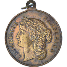 France, Medal, Troisième République, Souvenir du Tirage au Sort, Classe, 1896