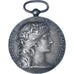 France, Medal, Société Industrielle de l'Est, Dupuis.D, AU(50-53), Silver