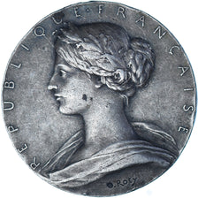 Francja, Sapeurs Pompiers, Ministère de l'Intérieur, medal, 1900, Bardzo dobra