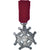France, Au mérite, Médaille, Très bon état, Bronze argenté, 30