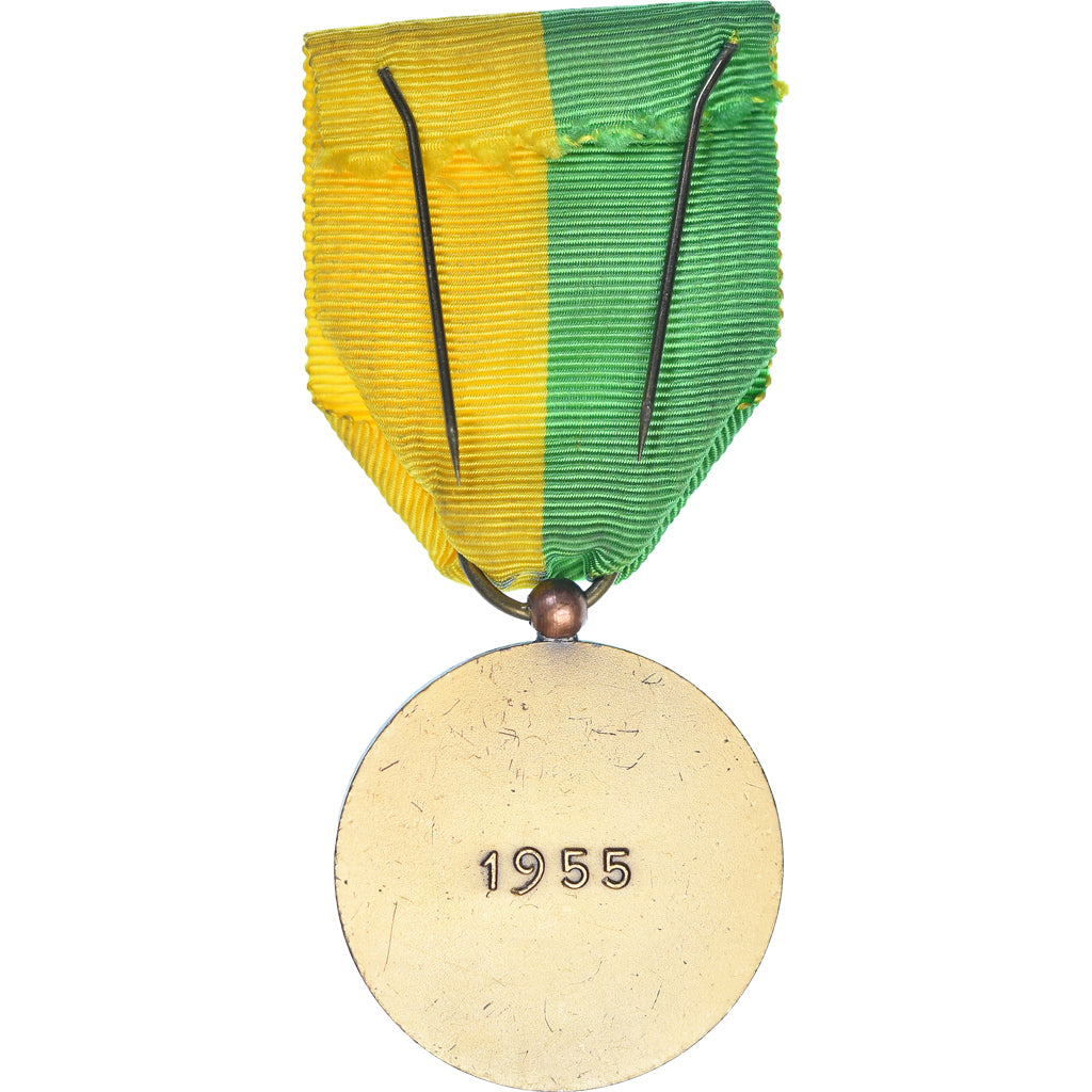 França, Anciens Combattants d'Indochine, Afrique du Nord, WAR, medalha, 1955